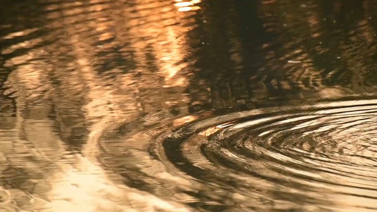 Accent Image